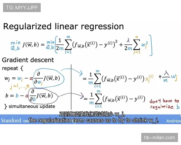 罚球区到底有哪些特殊规则？一文拆解禁区内的判罚逻辑